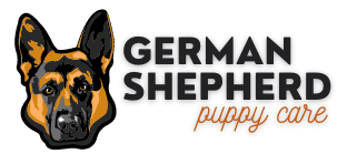 German Shepherd Puppy Care 